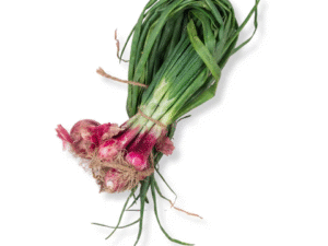 Spring Onion - લીલી ડુંગળી