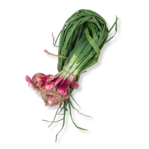 Spring Onion - લીલી ડુંગળી