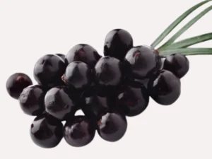 Acai Berry - કાલા જામુ