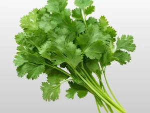 Coriander Leaf - લીલાધાણા