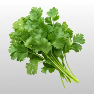 Coriander Leaf - લીલાધાણા