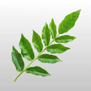 Curry Leaf - મીઠો લીમડો