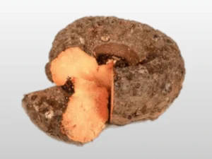 Elephant yam - સુરણ