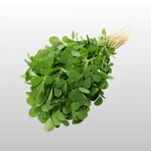 Fenugreek Leaf - લીલી મેથી