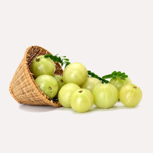 Gooseberry - આમળા