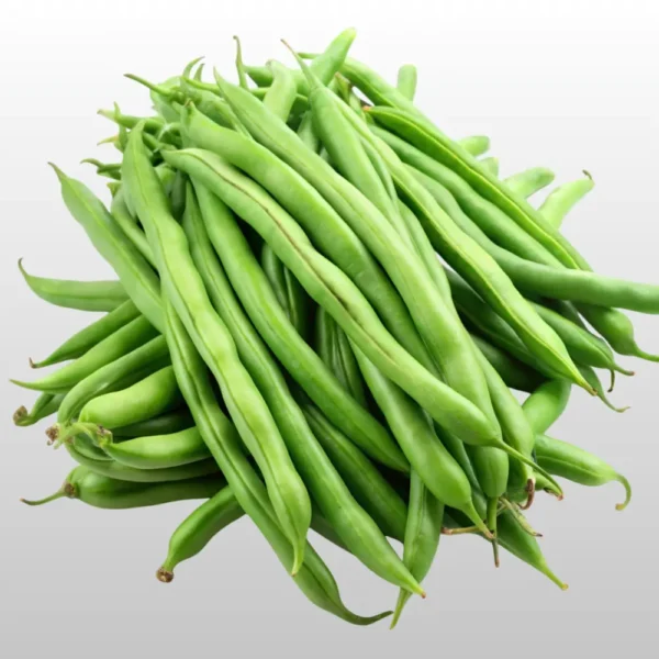 Green bean - ચોળી